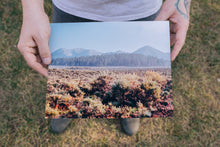 Load image into Gallery viewer, Between Seasons Box - Pre Order