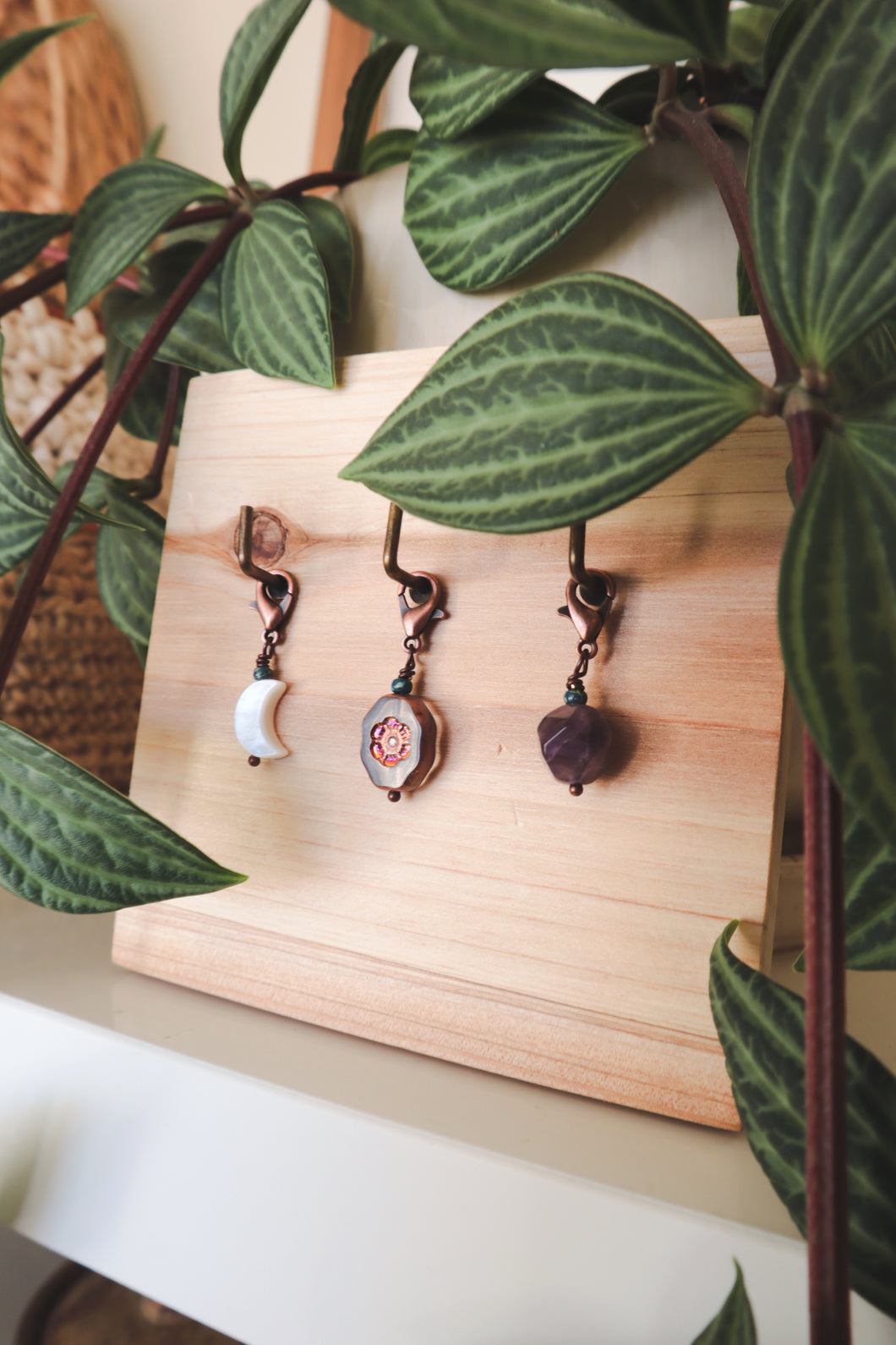 Month 3 - Mystery Notion Club // Cosmic Summer Progress Keeper Set